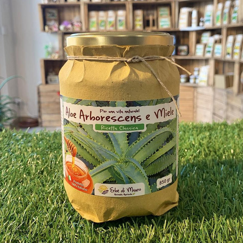 ricetta originale aloe arborescens padre zago